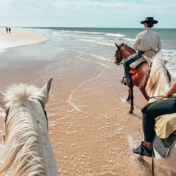 konie na plaży, hiszpania, girls trip kamperem